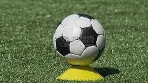 金年会 产品 114919 xi6