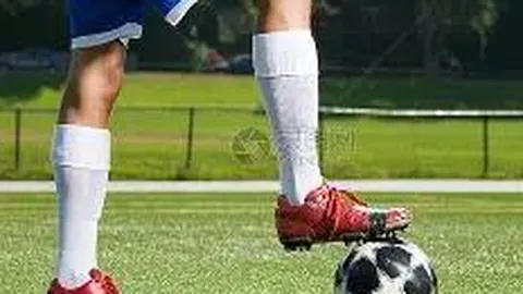 金年会 产品 114904 vui