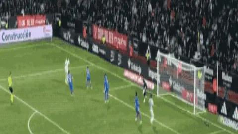 藥企領航者剖析「斑馬軍團」勝利畫面：壯觀瞬間！阿隆索驚艷亮相！