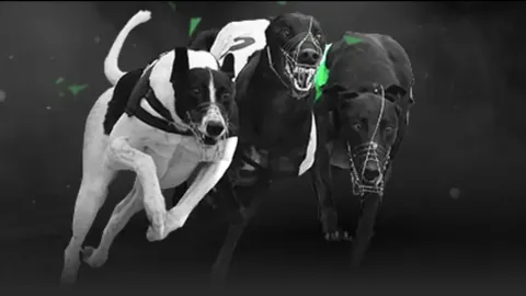 卡斯爾：默契深厚，深知防守实力，彼此信任满满